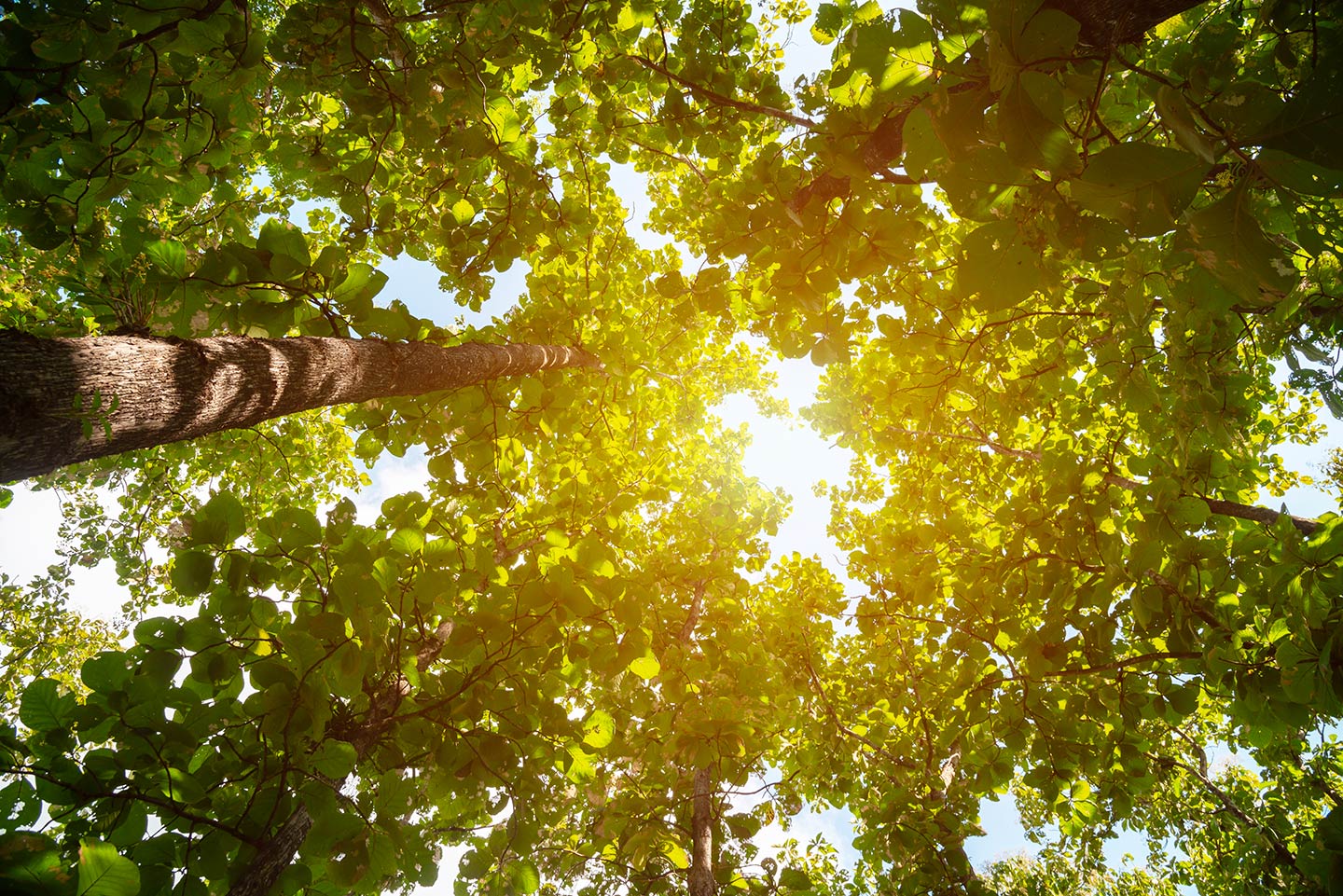 Governance sostenibile