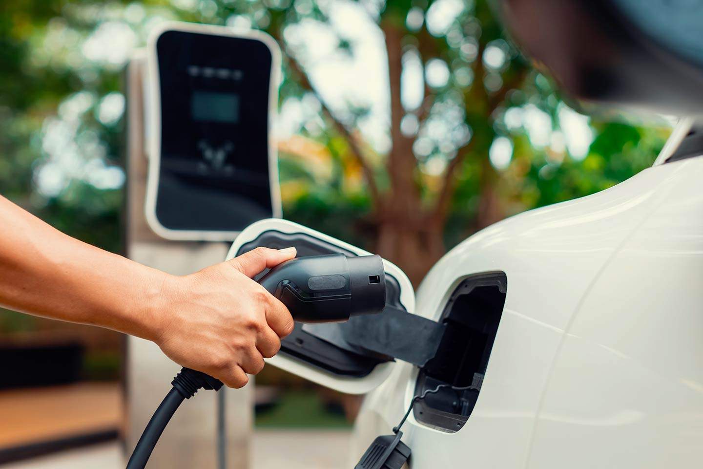 Prestito personale Verde Migliora