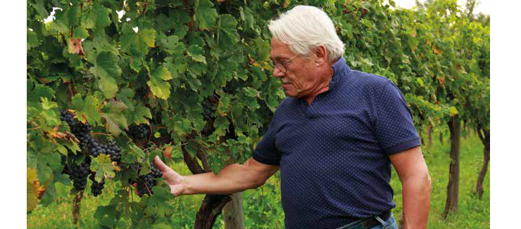 Ganus - Ritorno alla terra