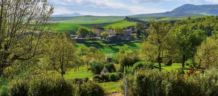 VAL D’ORCIA - i panorami del Rinascimento