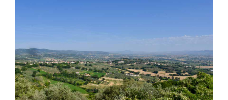 La terra del Sagrantino