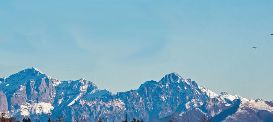 Un Territorio Un Cognome Banco Desio Sito Corporate